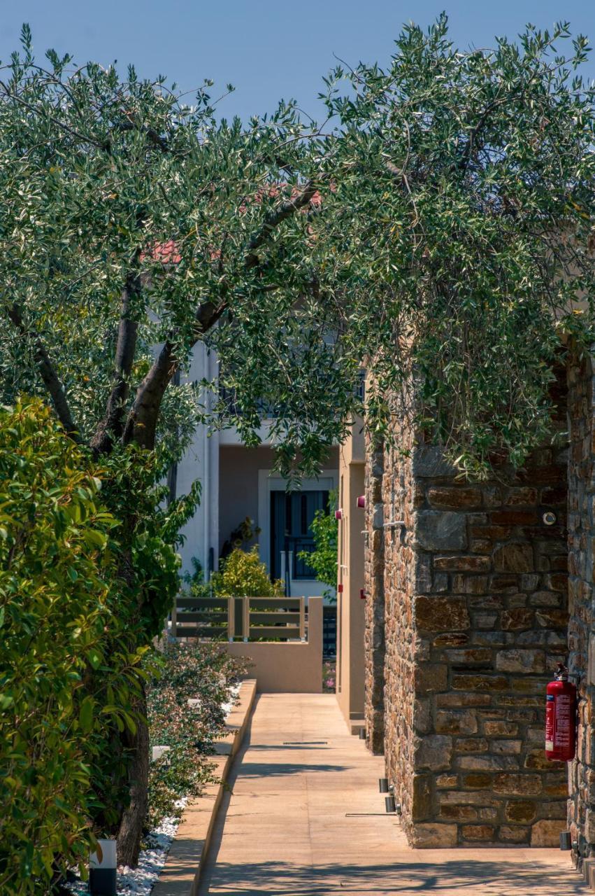 Astir Notos Hotel Potos Buitenkant foto